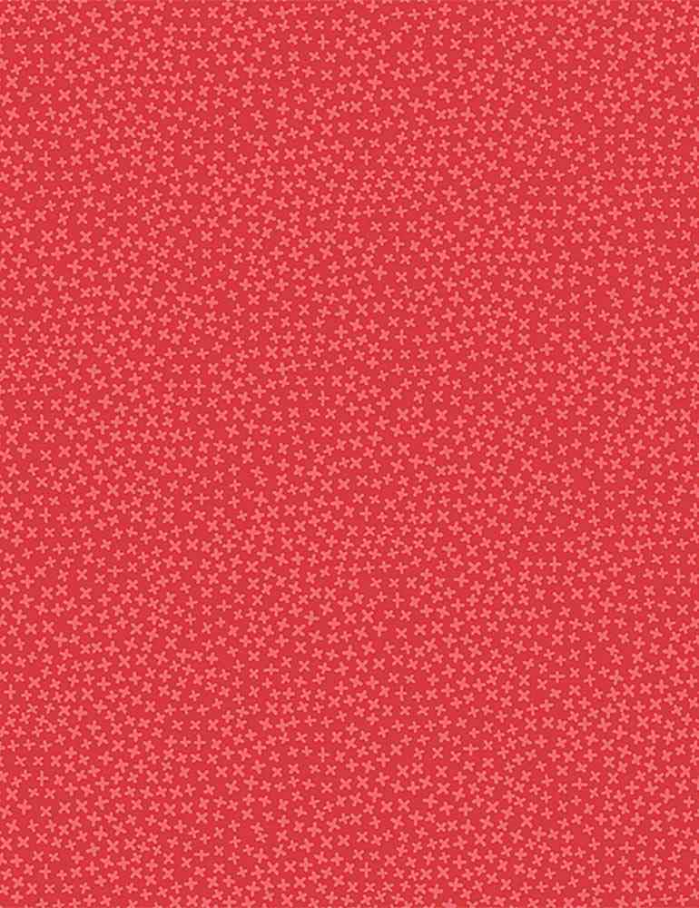 Dear Stella - JAX -Tigerlily