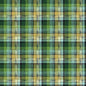 Dear Stella - Winter Wood Plaid