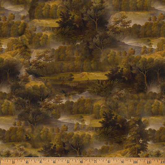 Among the Ferns - Landscape