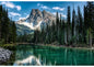 Call of the Wild Landscape Panel 29”x43”